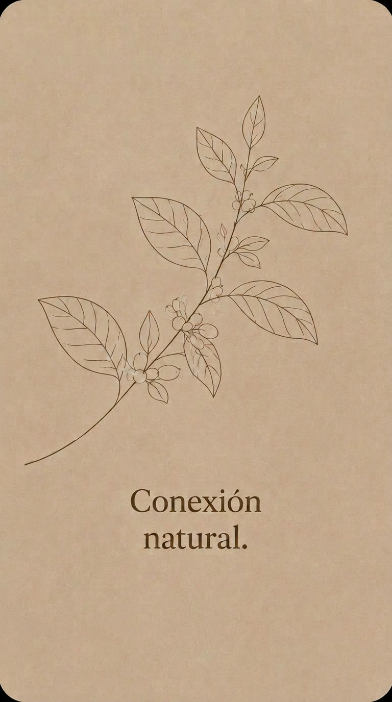 Conexión natural